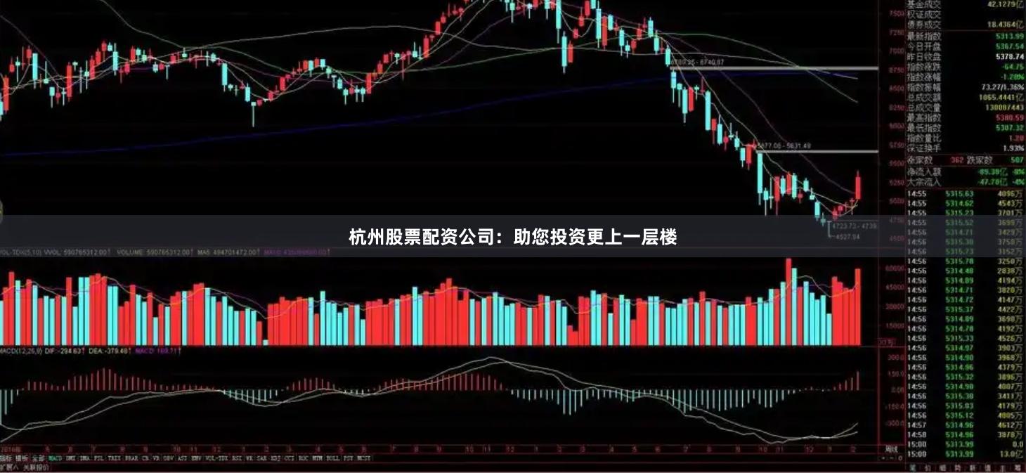 杭州股票配资公司：助您投资更上一层楼