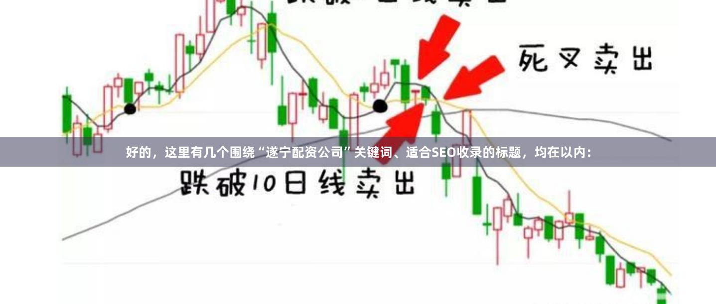 好的，这里有几个围绕“遂宁配资公司”关键词、适合SEO收录的标题，均在以内：
